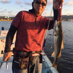 アマテラス 釣果