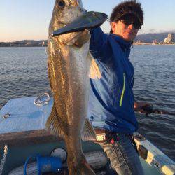 アマテラス 釣果