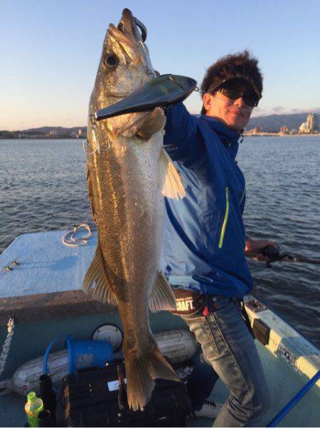 アマテラス 釣果