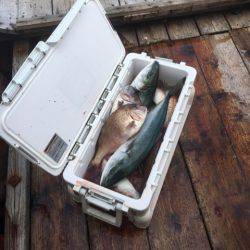 釣り堀水宝 釣果