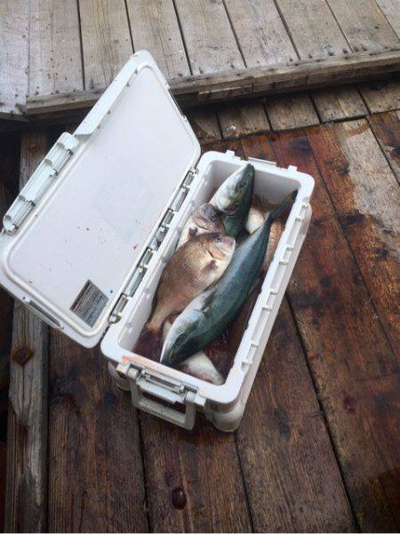 釣り堀水宝 釣果