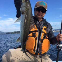 アマテラス 釣果