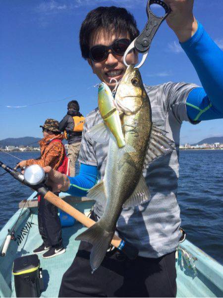 アマテラス 釣果