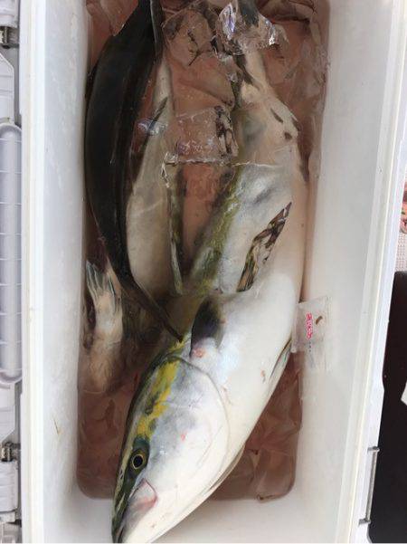 龍神丸(鹿児島) 釣果