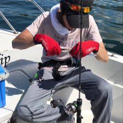 龍神丸(鹿児島) 釣果