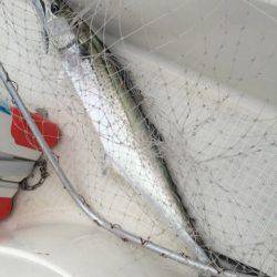 「LaGooN」蒼陽丸 日和号 釣果