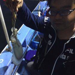 ヤザワ渡船 釣果