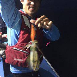 ヤザワ渡船 釣果