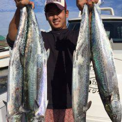 ビッグファイター 釣果