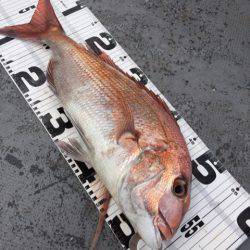 第二 海洋丸 釣果