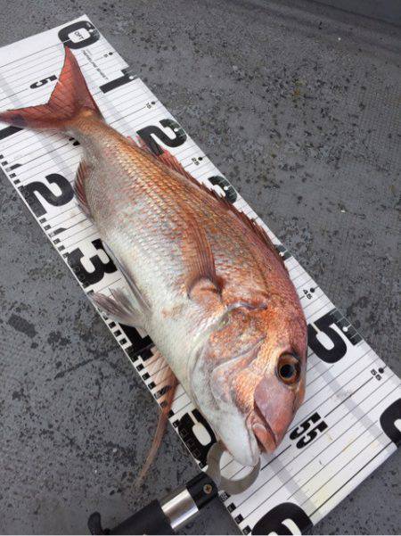 第二 海洋丸 釣果