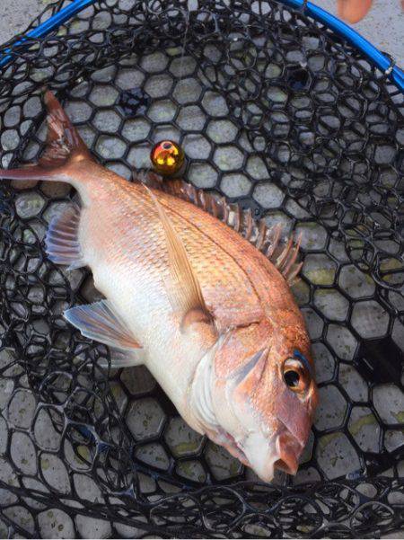 第二 海洋丸 釣果