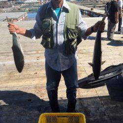 釣り堀水宝 釣果