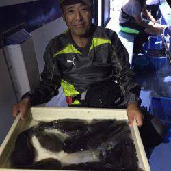 ヤザワ渡船 釣果