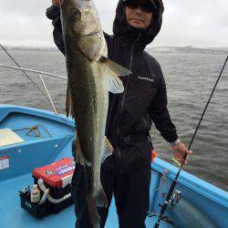 アマテラス 釣果