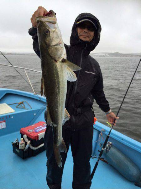 アマテラス 釣果