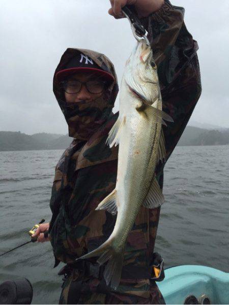 アマテラス 釣果