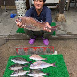 幕島丸 釣果