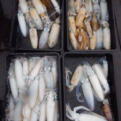 渡船屋たにぐち 釣果