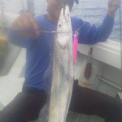 フィッシング　キッタカ 釣果