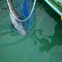 釣り堀水宝 釣果