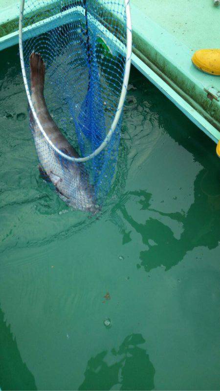 釣り堀水宝 釣果