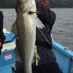 アマテラス 釣果