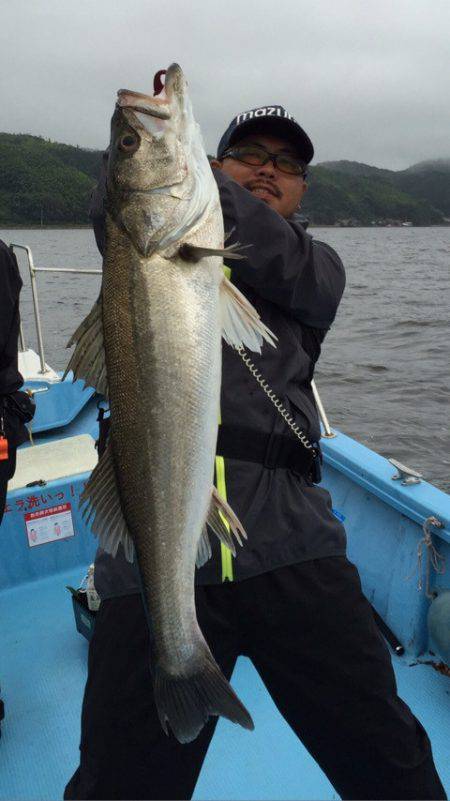 アマテラス 釣果