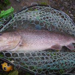 平谷湖フィッシングスポット 釣果