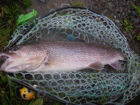 平谷湖フィッシングスポット 釣果