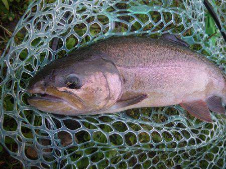 平谷湖フィッシングスポット 釣果