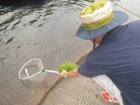 平谷湖フィッシングスポット 釣果