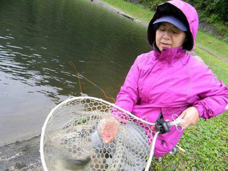 平谷湖フィッシングスポット 釣果