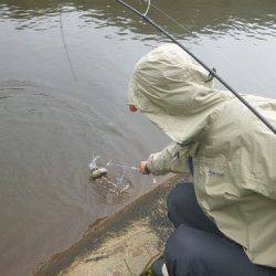 平谷湖フィッシングスポット 釣果