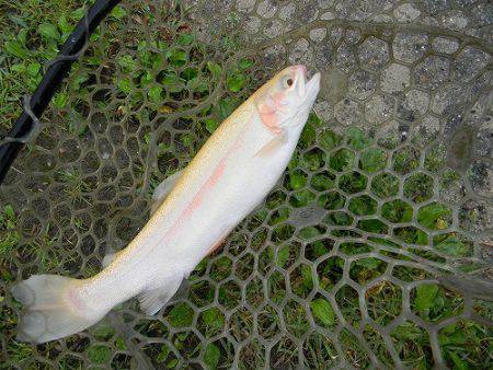 平谷湖フィッシングスポット 釣果