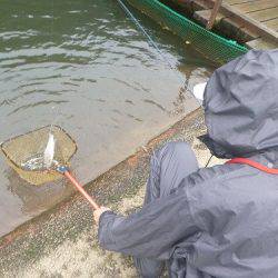 平谷湖フィッシングスポット 釣果