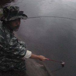 平谷湖フィッシングスポット 釣果