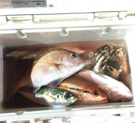 Fishing boat NATTYI 釣果