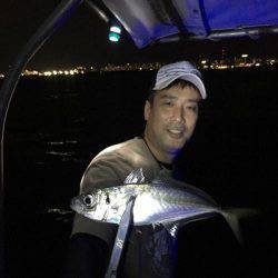 Fishing boat NATTYI 釣果