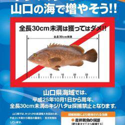 海季丸(みきまる) 釣果