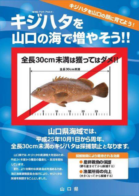 海季丸(みきまる) 釣果