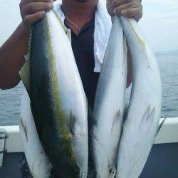 サンマリン 釣果