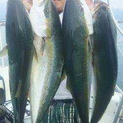 サンマリン 釣果