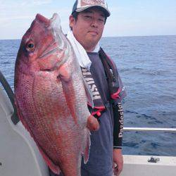 ARCADIAⅡ （アルカディアⅡ） 釣果