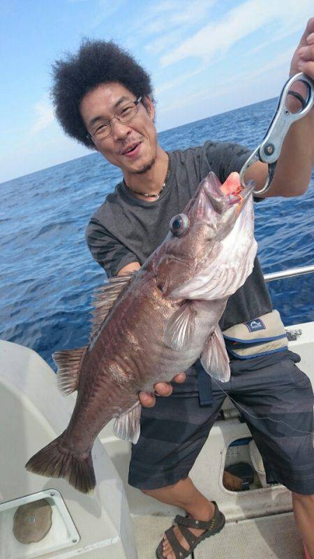 ARCADIAⅡ （アルカディアⅡ） 釣果