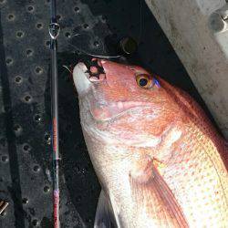 ARCADIAⅡ （アルカディアⅡ） 釣果