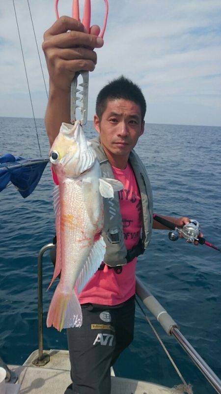 ARCADIAⅡ （アルカディアⅡ） 釣果