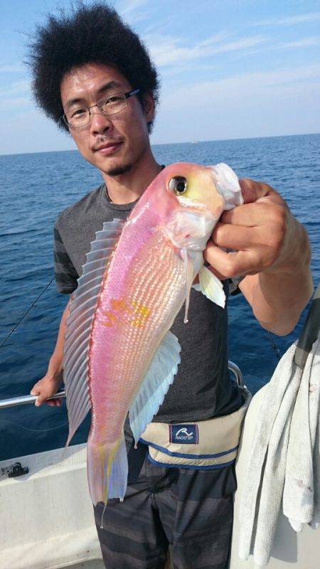 ARCADIAⅡ （アルカディアⅡ） 釣果