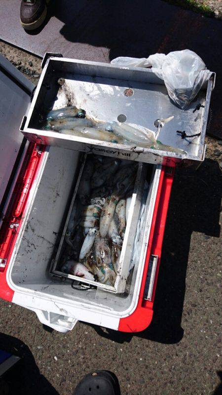 あみや渡船 JIGBOY 釣果