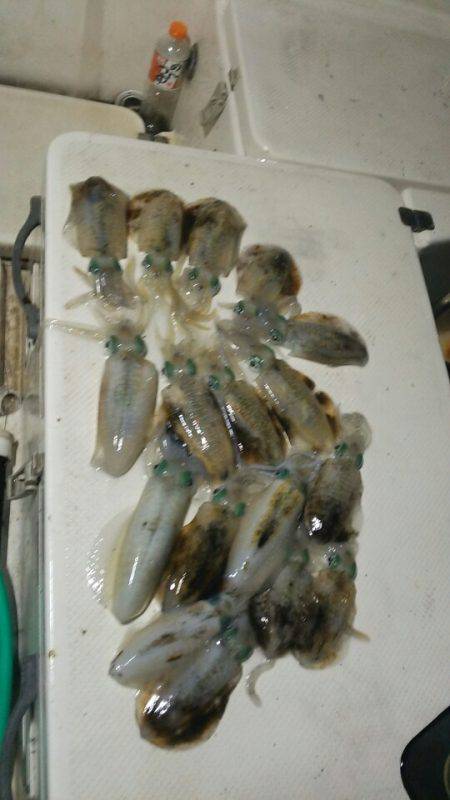 Monster Rush! 釣果